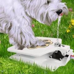 Dog Water Fountain