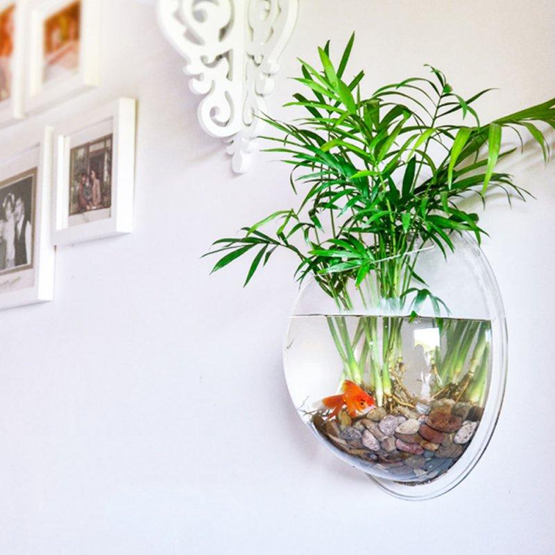 Wall Mounted Fish Bowl-Acrylic